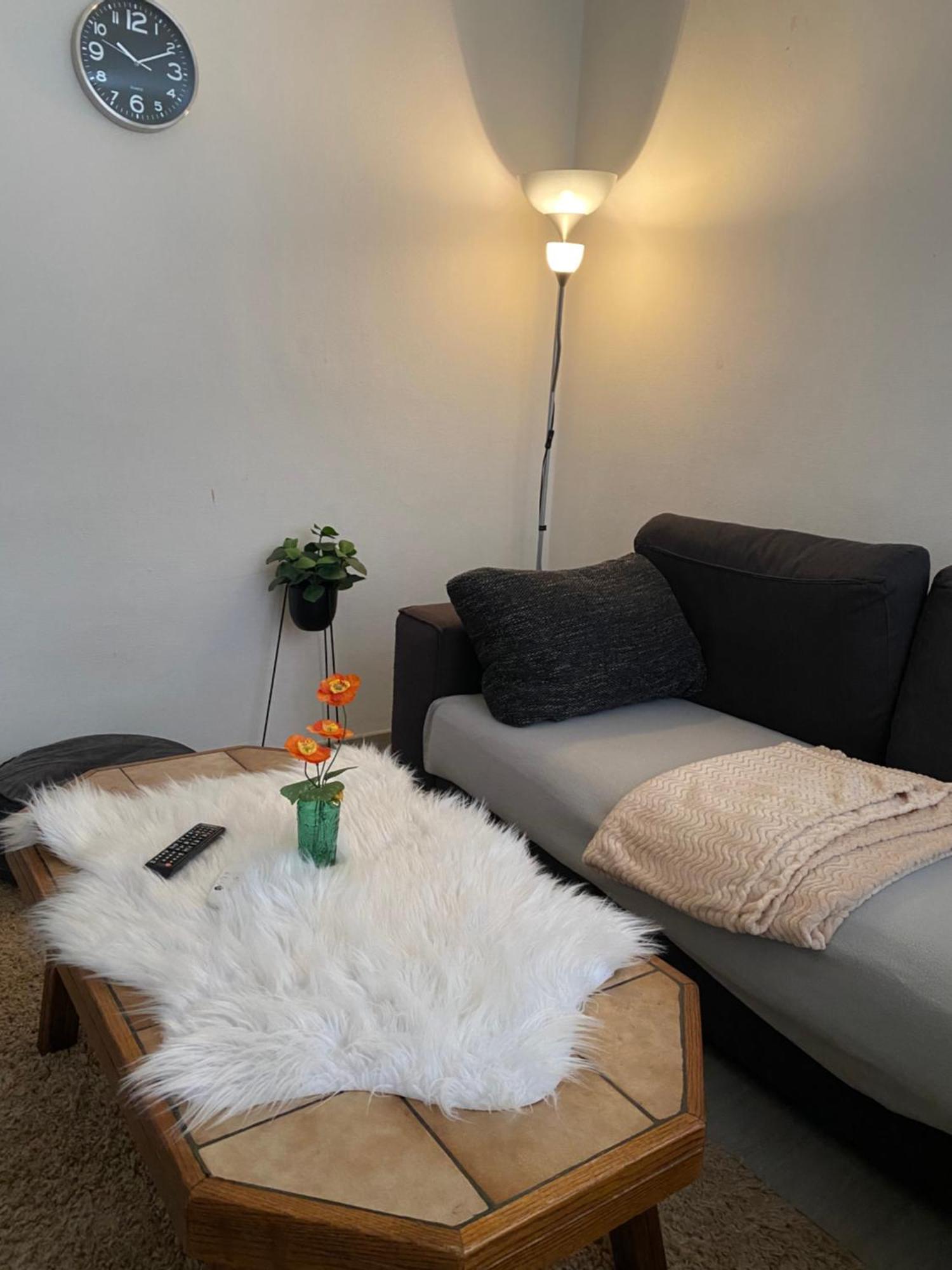 Appartement Big Beautiful In Atwerpen-center Antwerpen